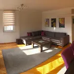 Jasmina With Free Garage * Sarajevo